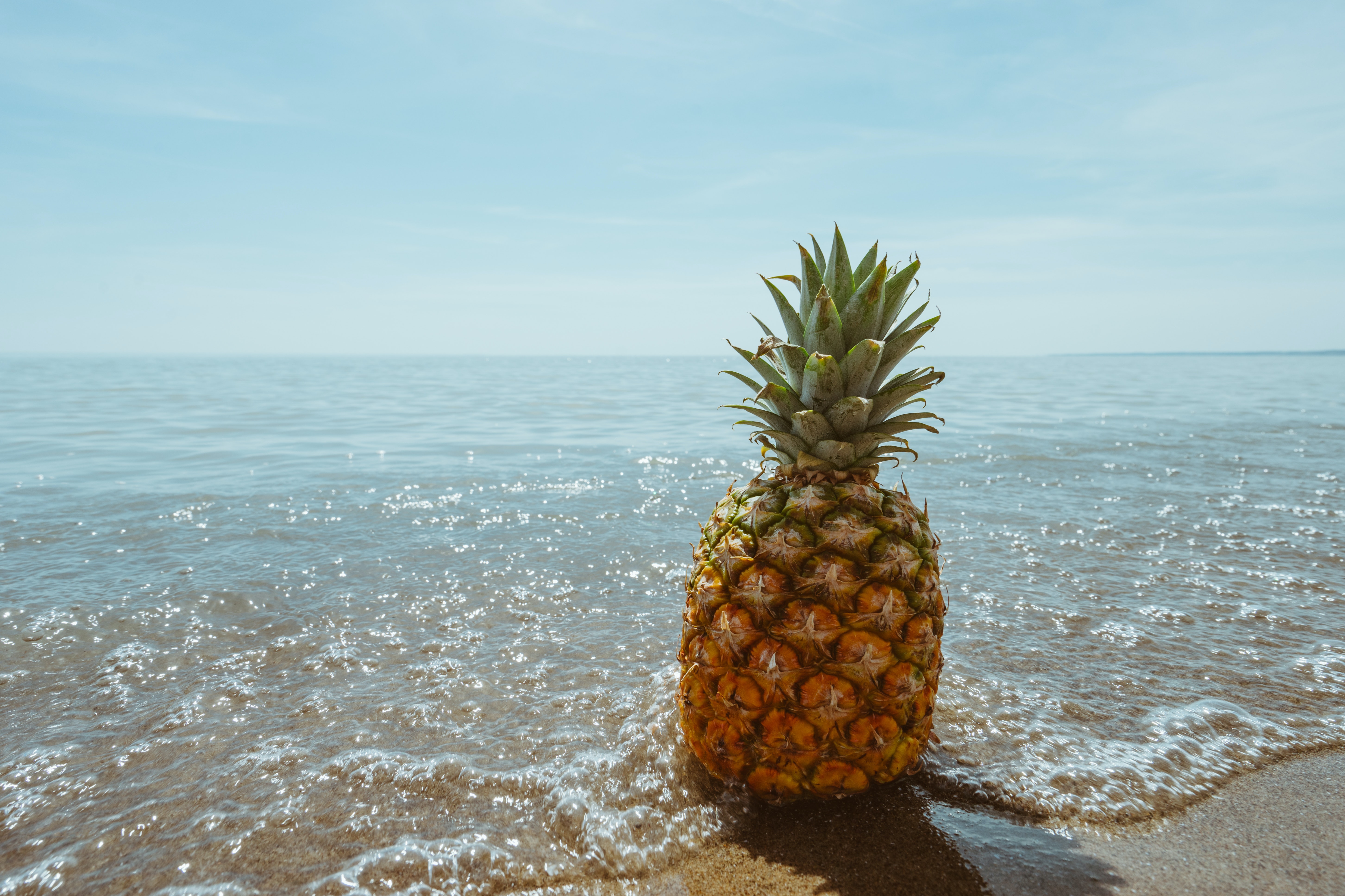 Pineapple Hd Wallpapers