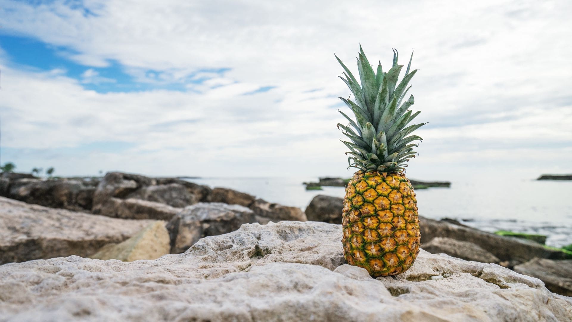 Pineapple Laptop Wallpapers