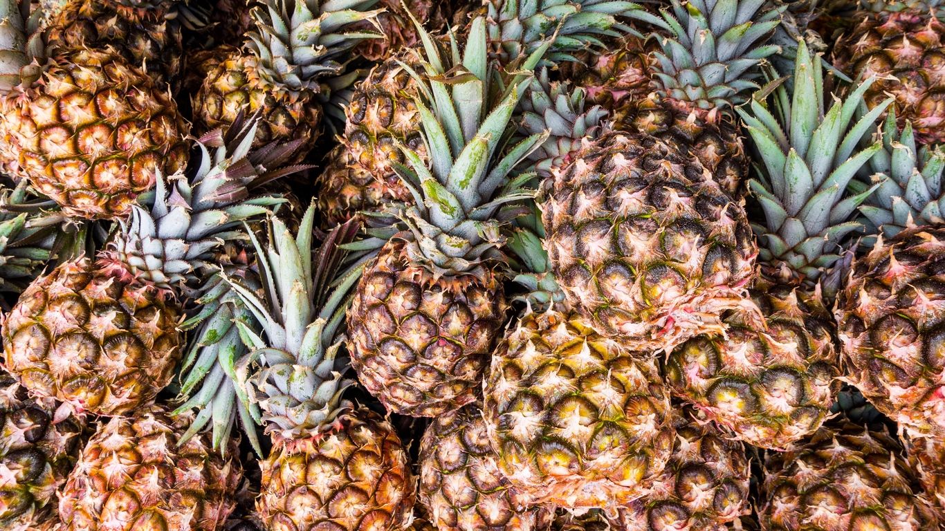 Pineapple Laptop Wallpapers