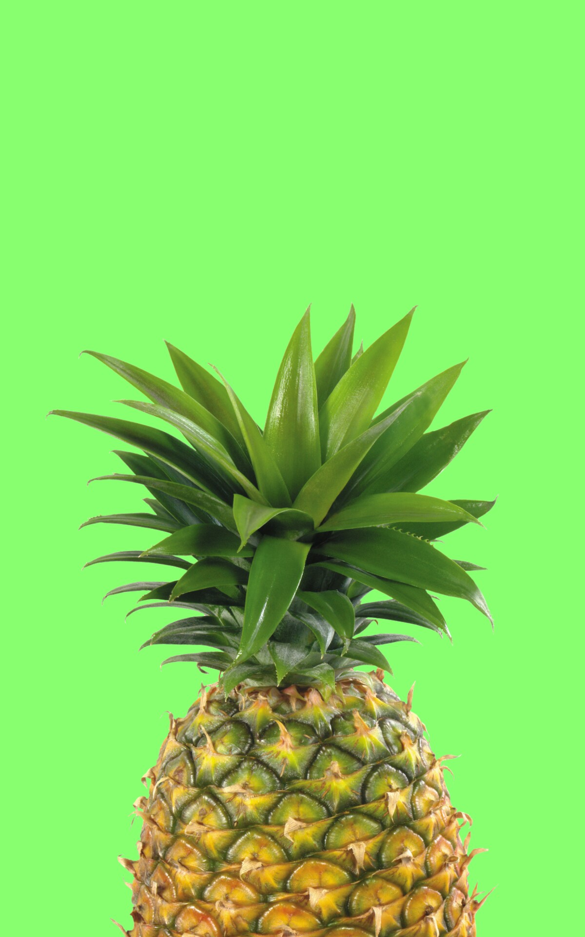 Pineapple Tumblr Wallpapers