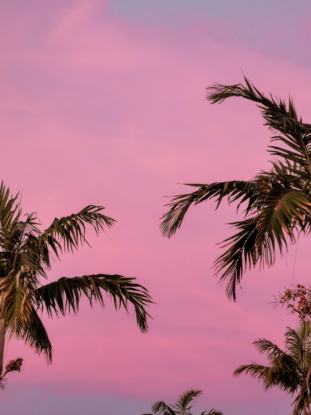 Pink Aesthetic Landscape Wallpapers