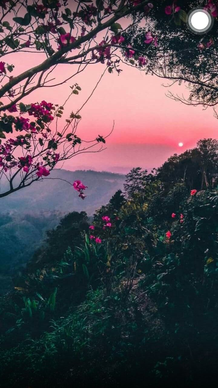 Pink Aesthetic Landscape Wallpapers