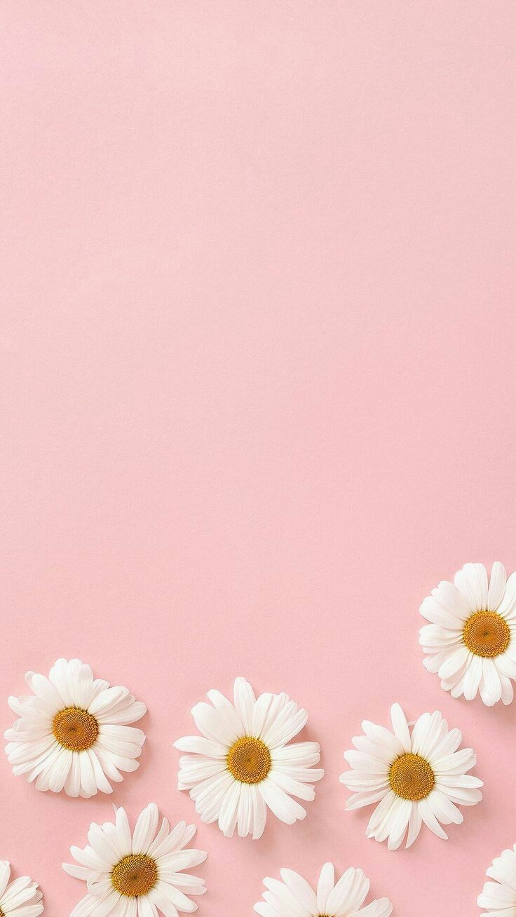 Pink Aesthetic Photos Wallpapers