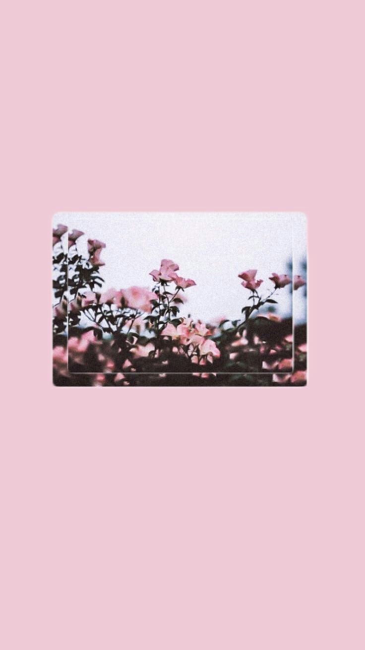 Pink Aesthetic Tumblr Desktop Wallpapers