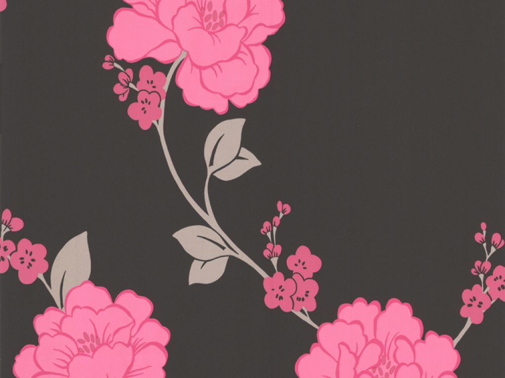 Pink And Black Flower Wallpapers