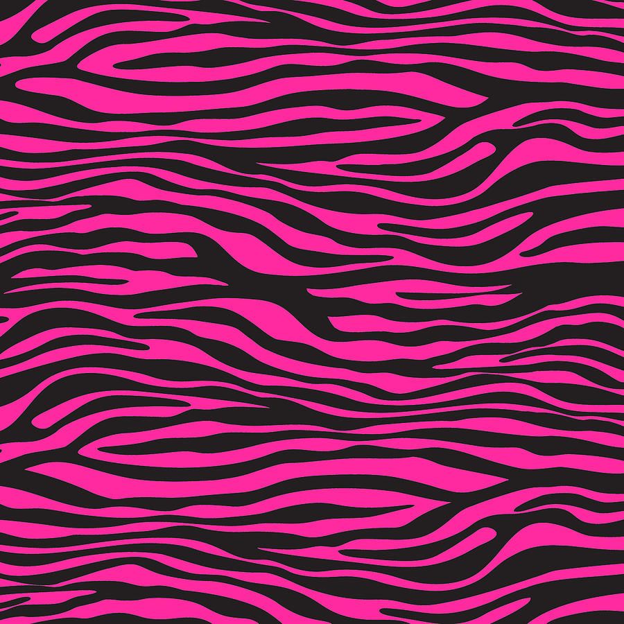 Pink And Black Zebra Wallpapers