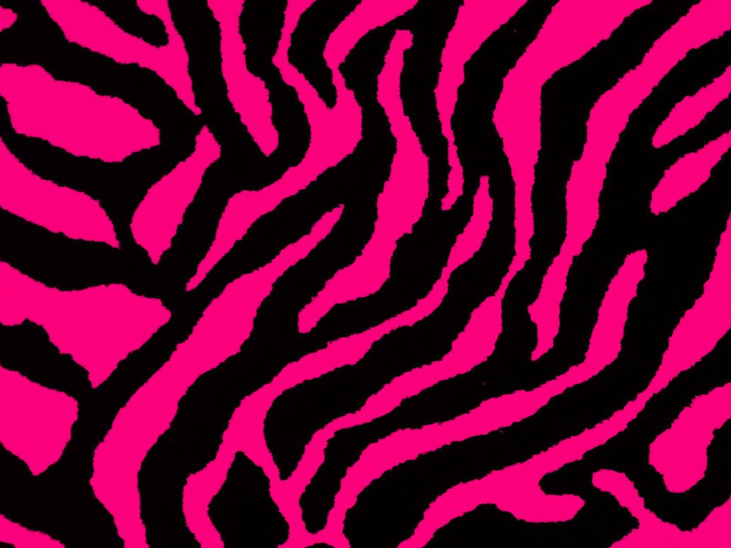 Pink And Black Zebra Wallpapers