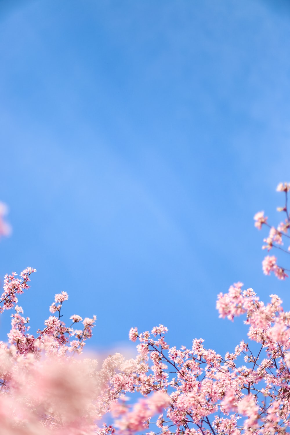 Pink And Blue Sky Wallpapers