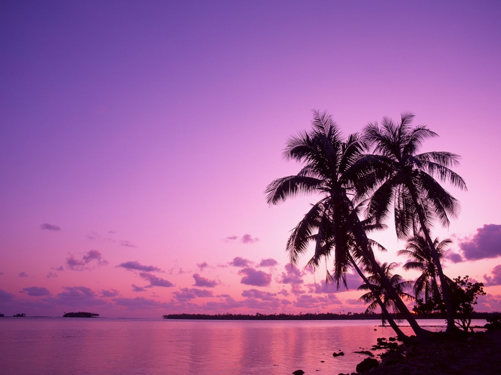 Pink And Blue Sunset Wallpapers