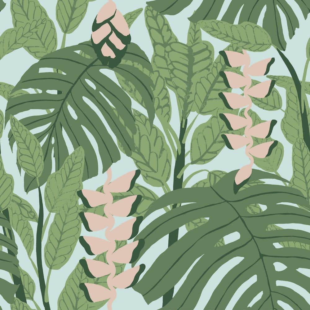 Pink And Green Aesthetic Wallpapers