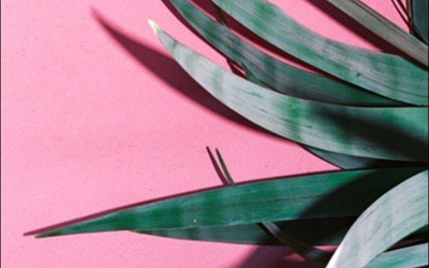 Pink And Green Aesthetic Wallpapers