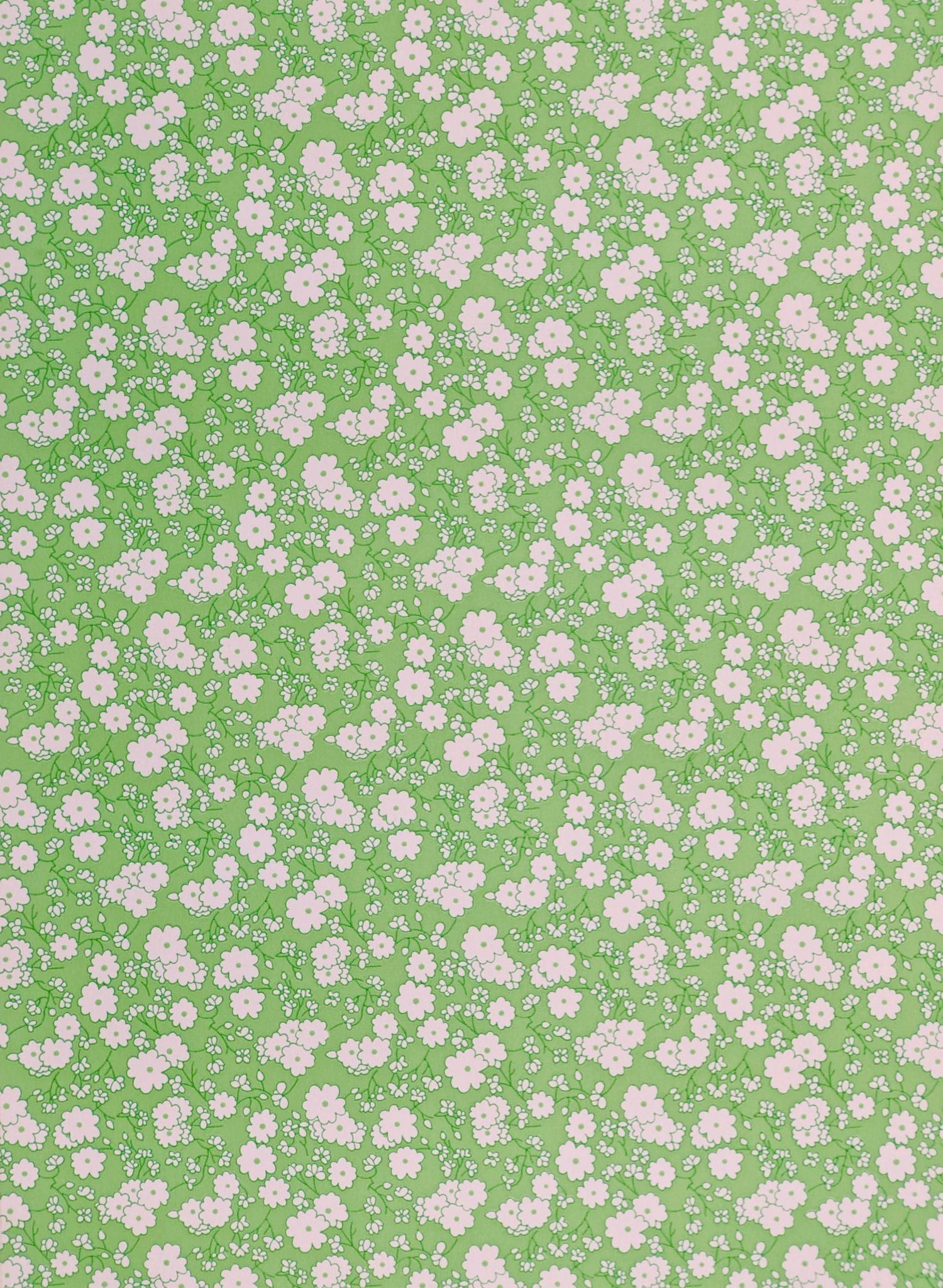 Pink And Green Aesthetic Wallpapers