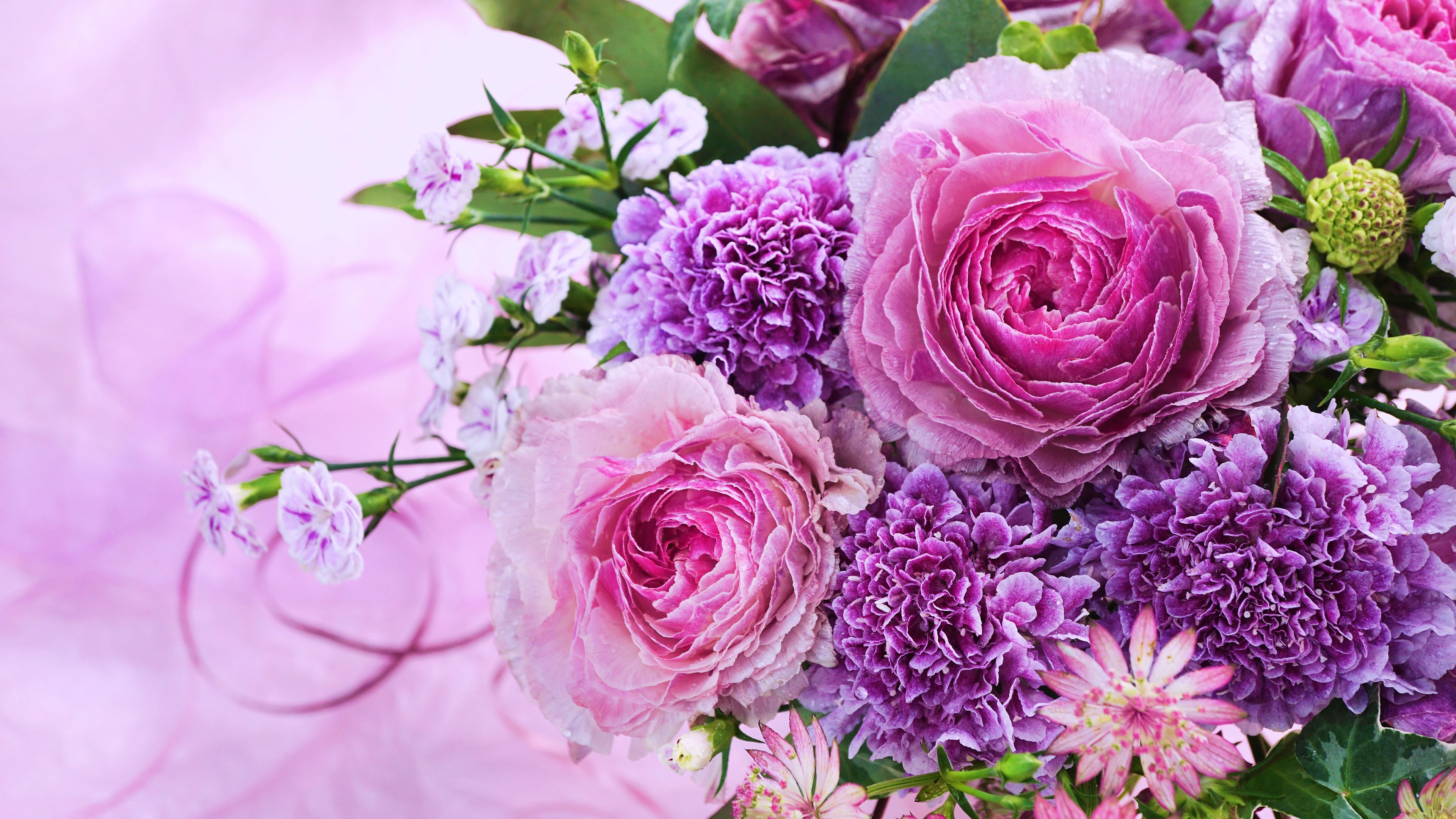 Pink And Purple Flower Wallpapers