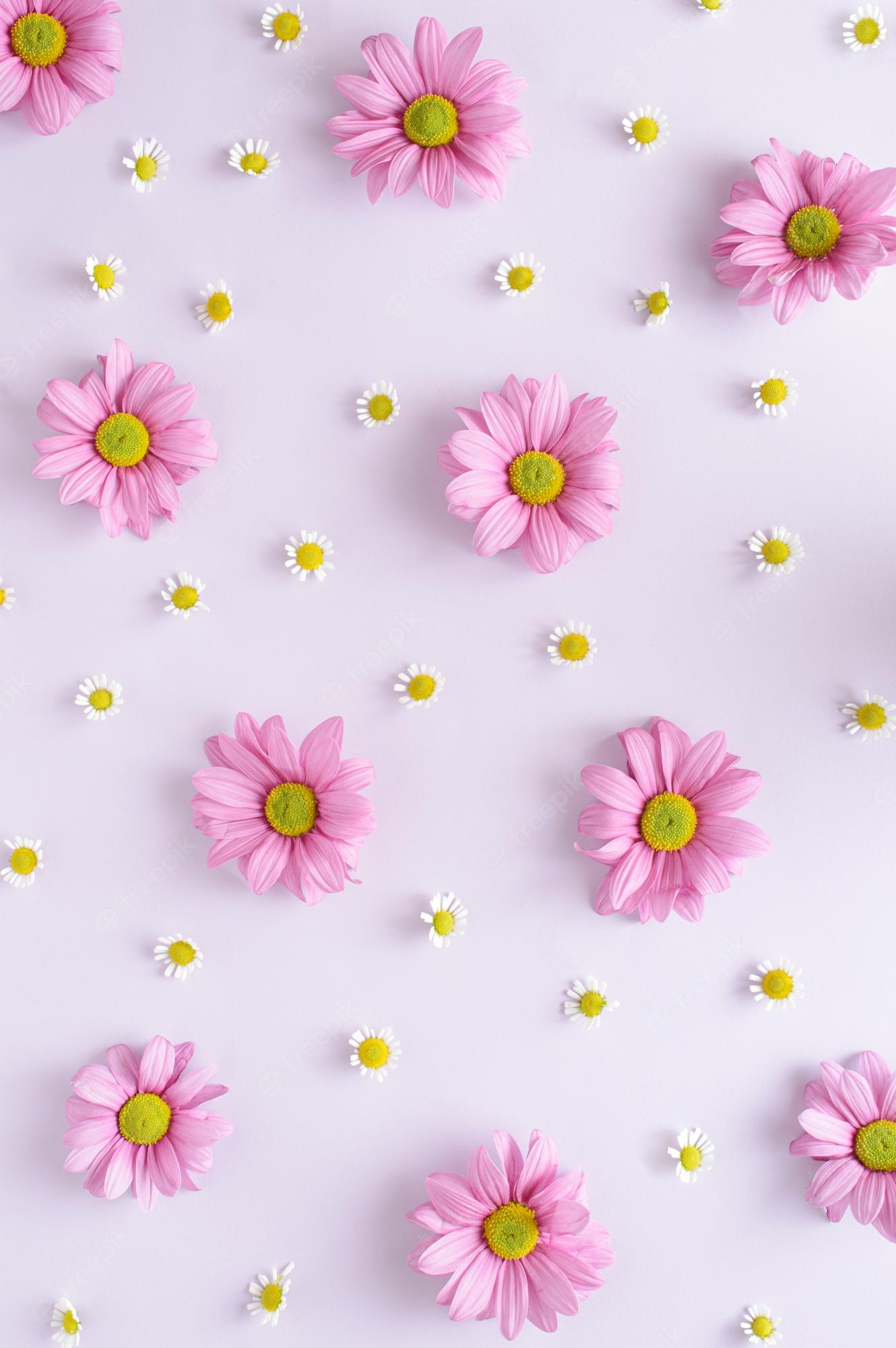 Pink And Purple Flower Wallpapers