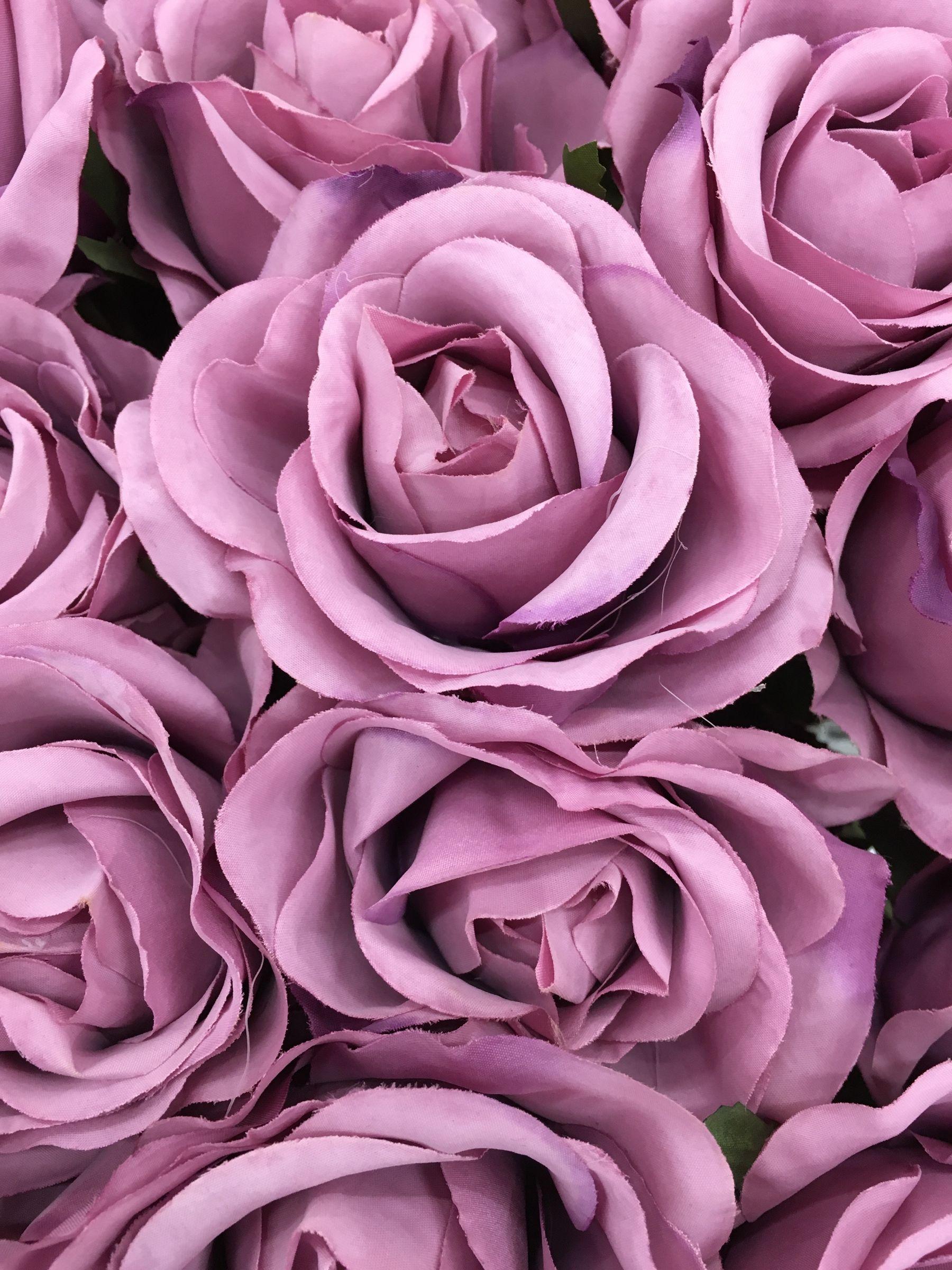 Pink And Purple Flower Wallpapers