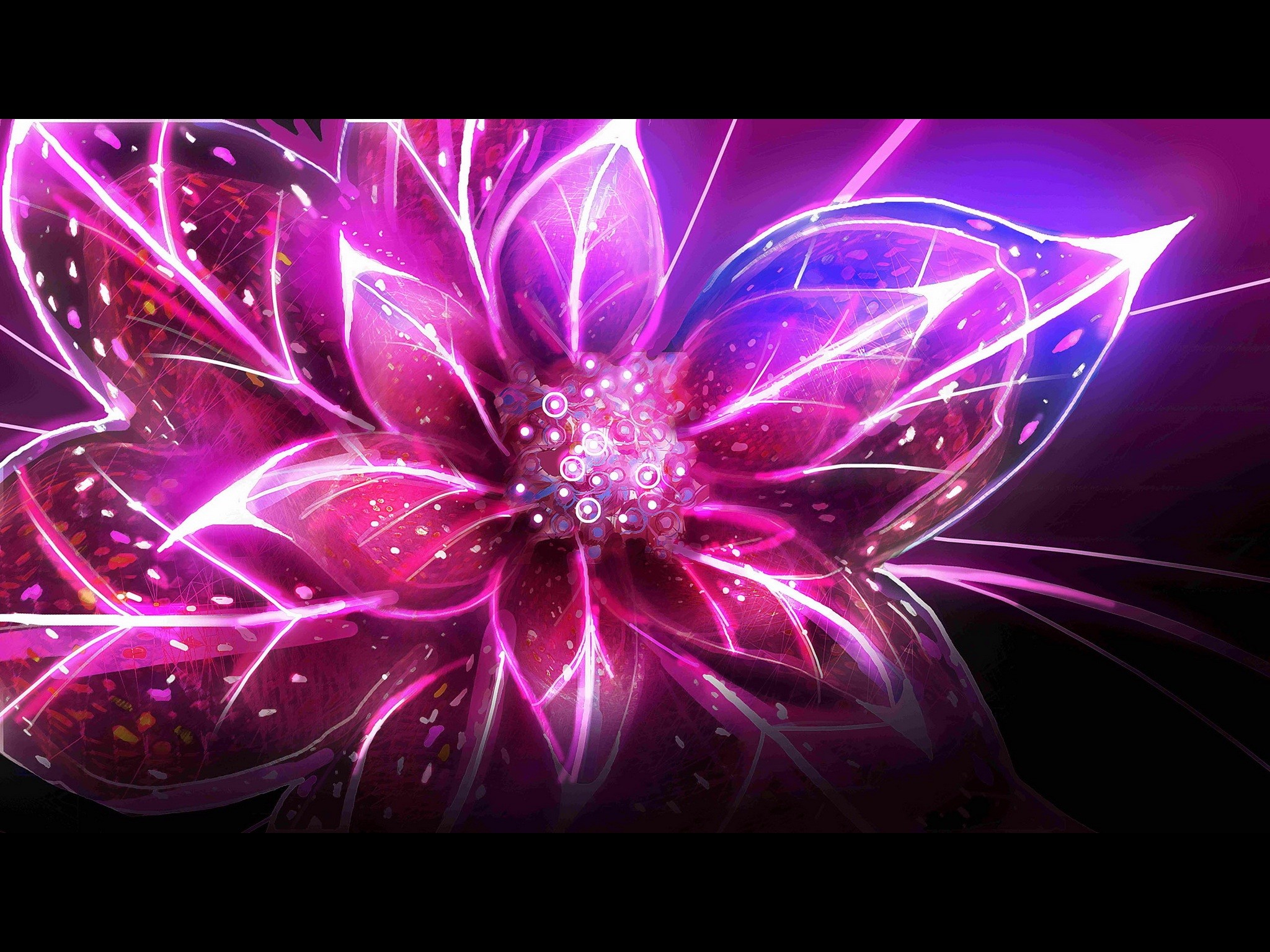 Pink And Purple Flower Wallpapers