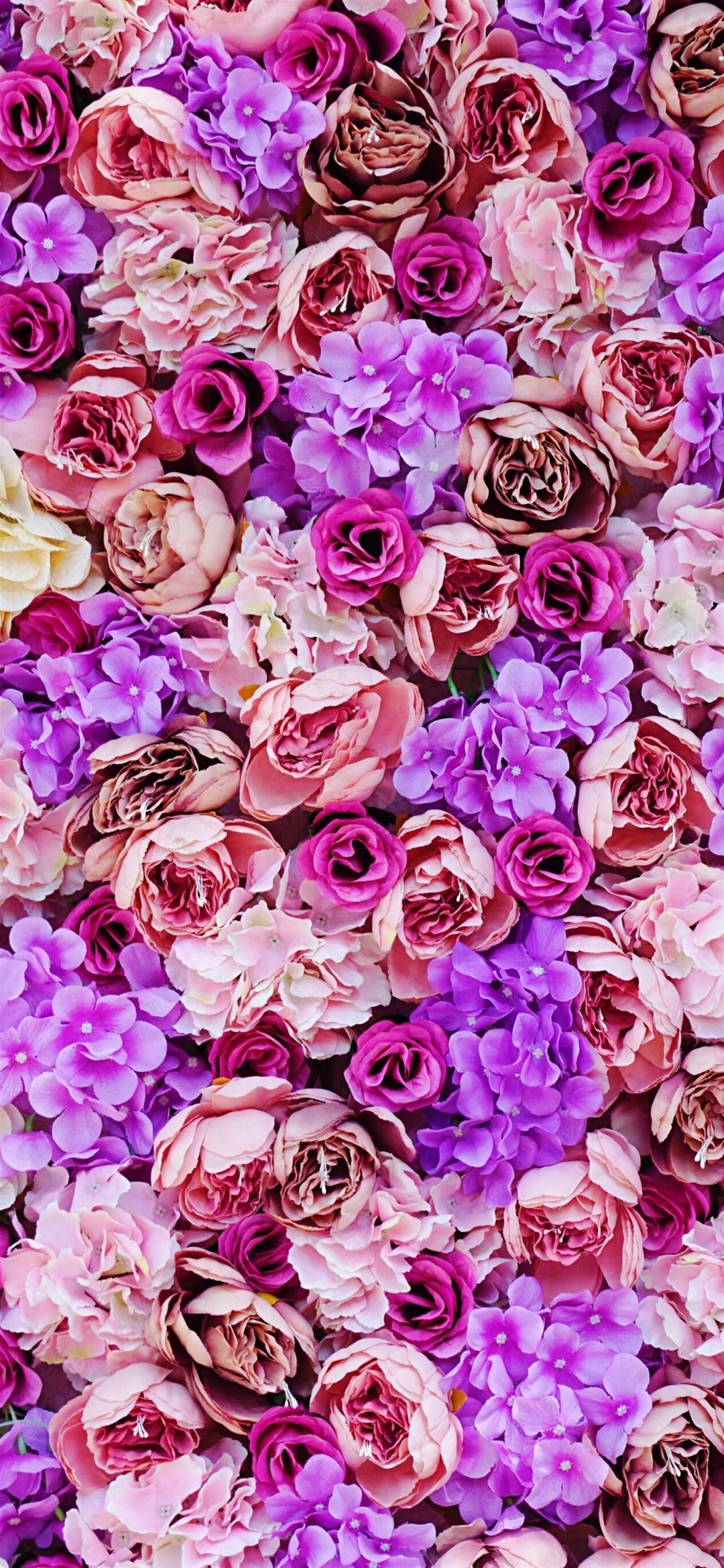 Pink And Purple Iphone Wallpapers