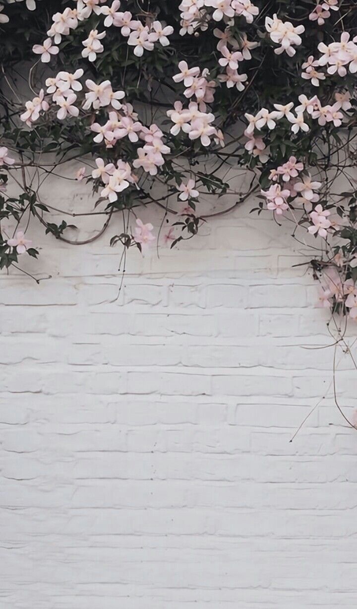 Pink And White Aesthetic Wallpapers