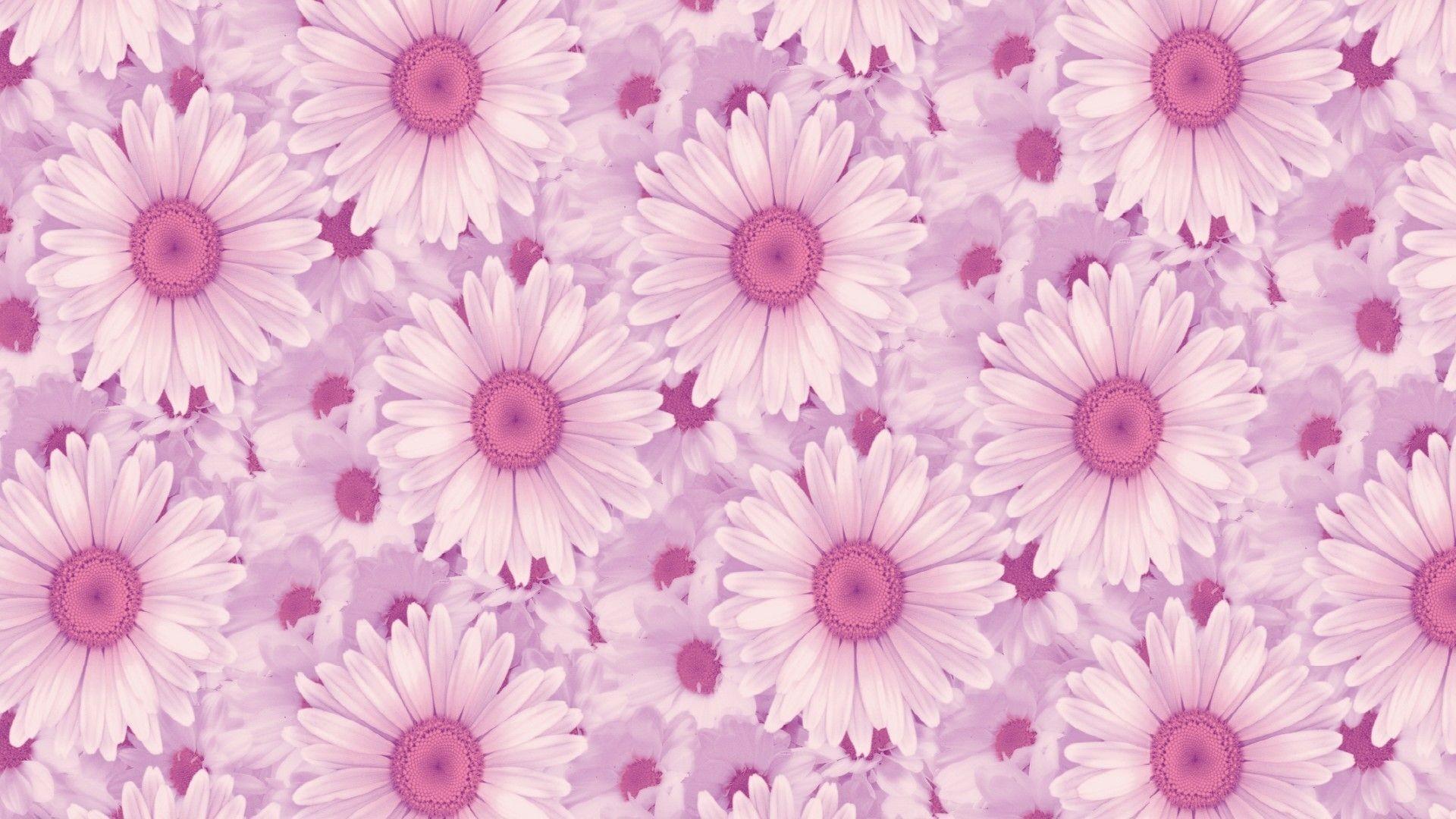 Pink And White Aesthetic Wallpapers