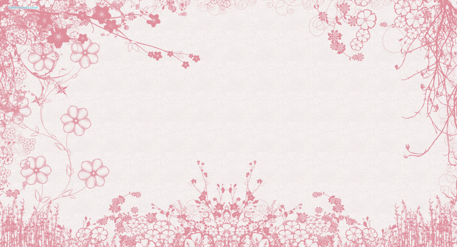 Pink And White Flower Wallpapers