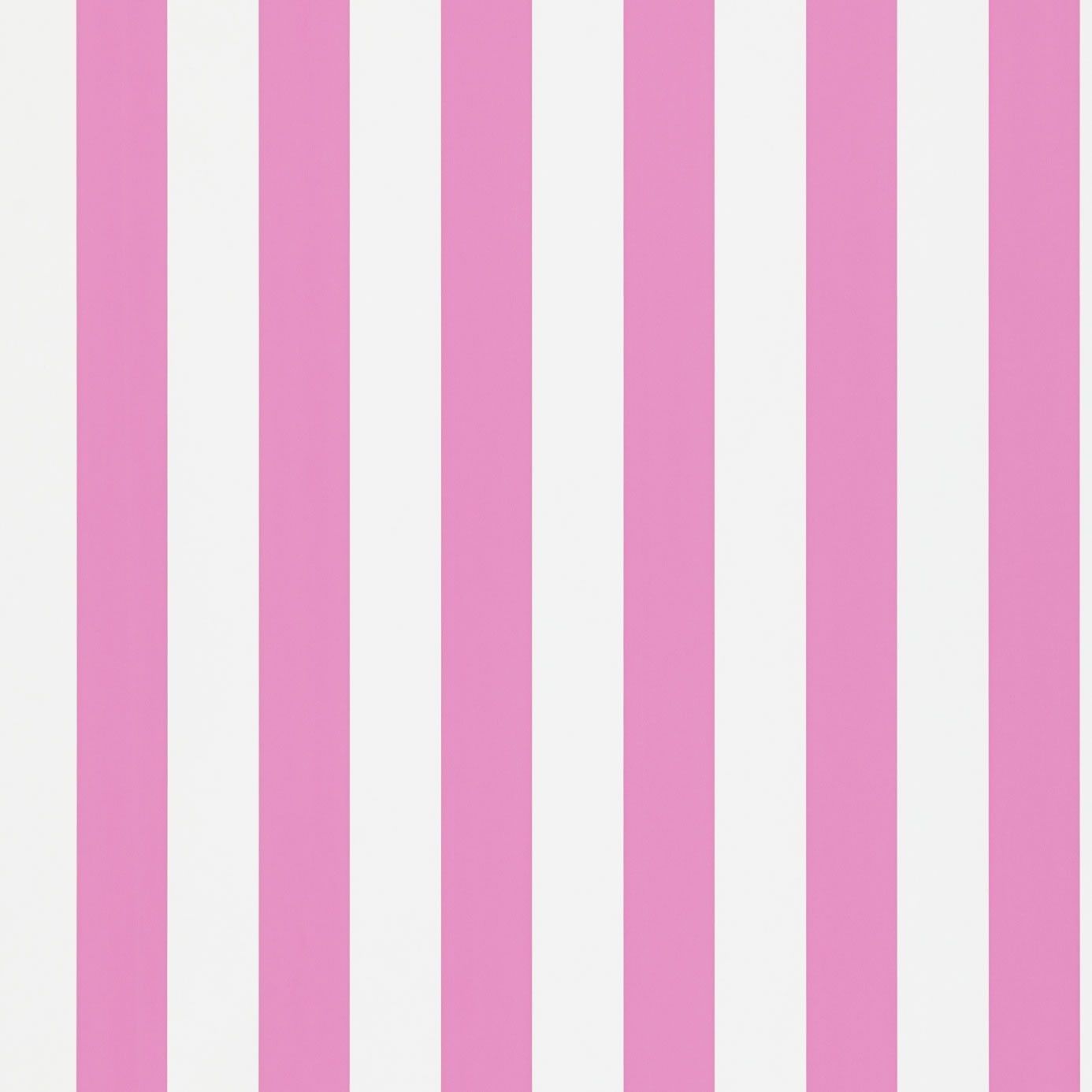 Pink And White Wallpapers