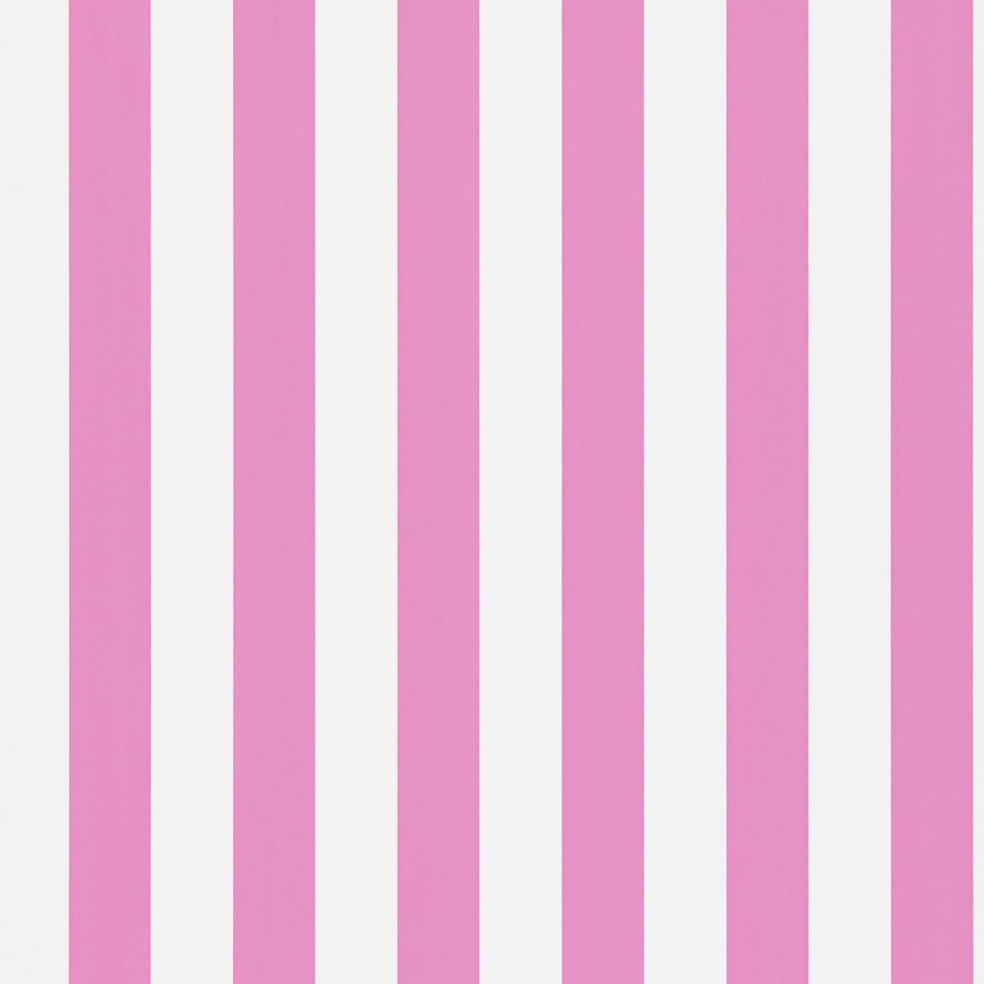 Pink And White Wallpapers