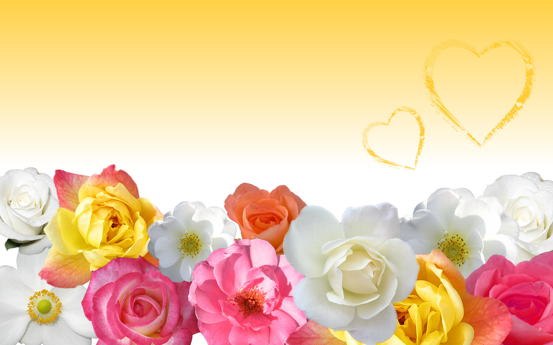 Pink And Yellow Flowers Wallpapers