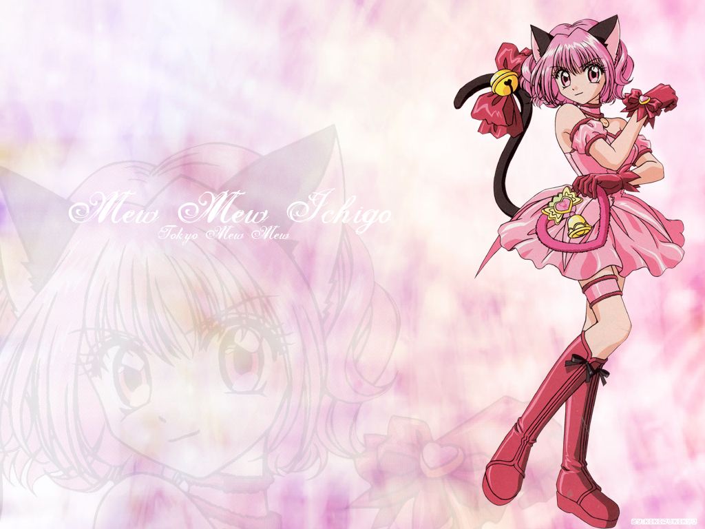 Pink Anime Cat Girl Wallpapers