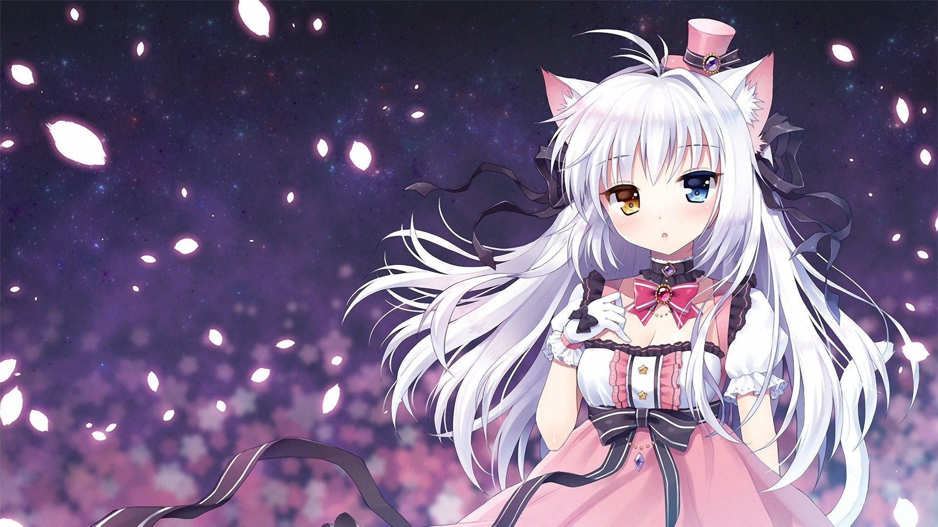 Pink Anime Cat Girl Wallpapers