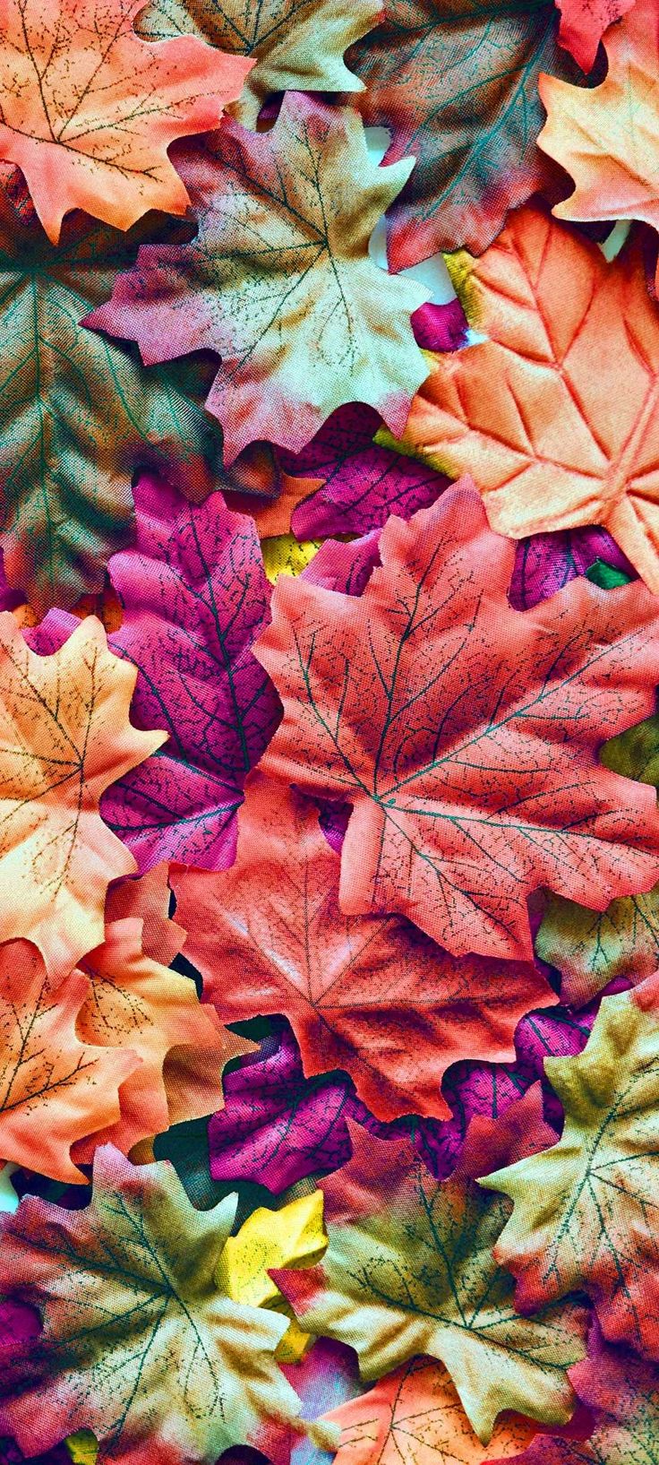 Pink Autumn Wallpapers