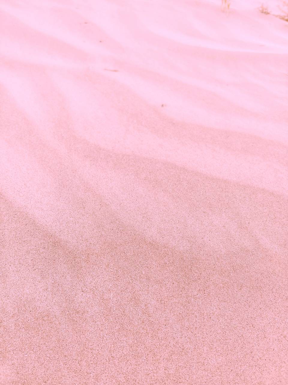 Pink Beach Iphone Wallpapers