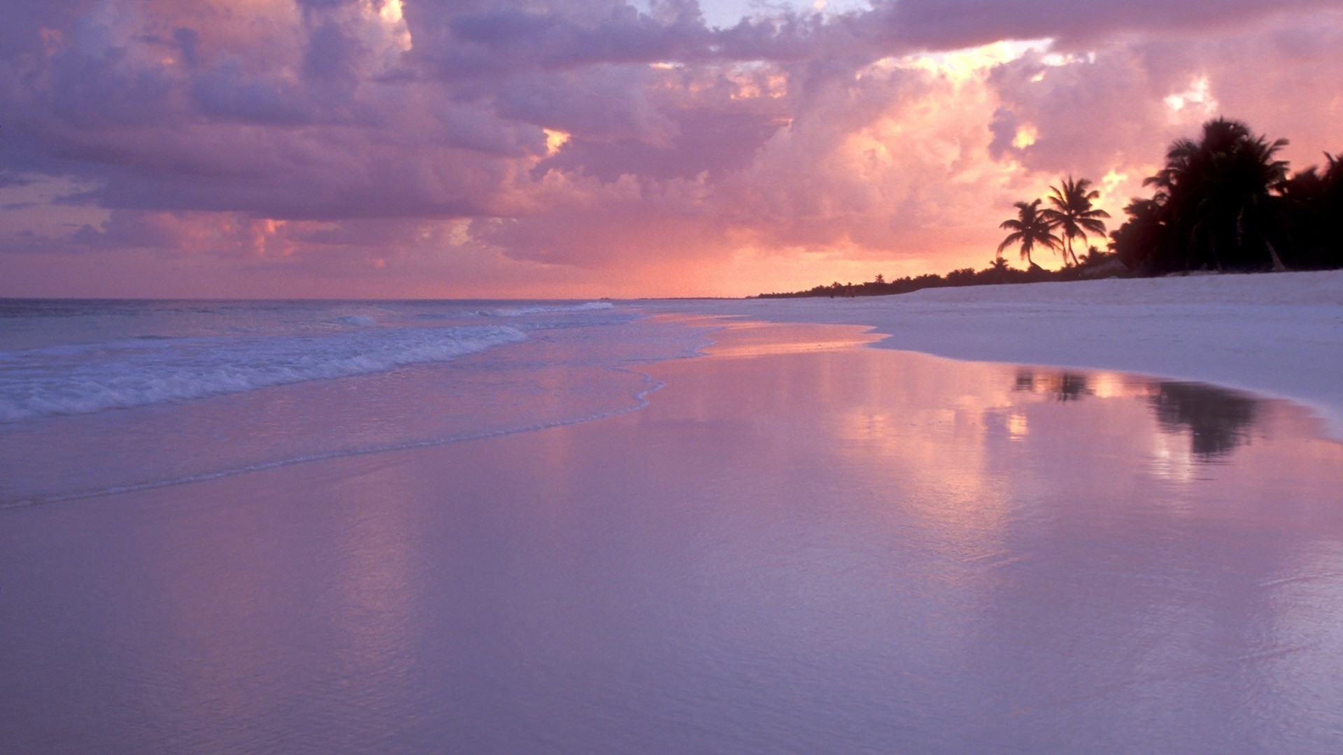 Pink Beach Wallpapers