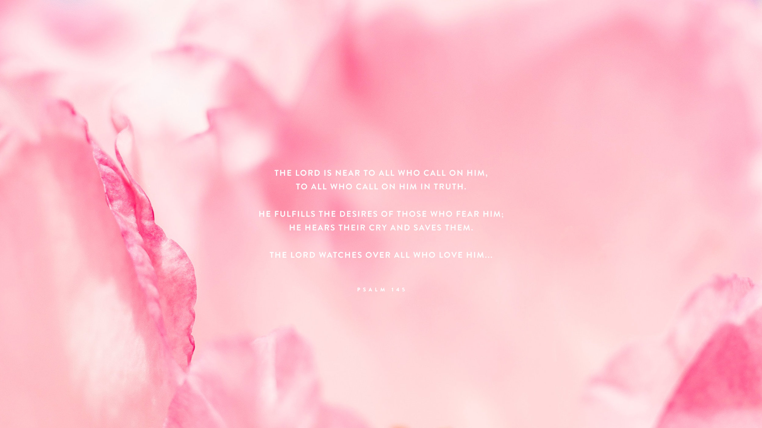 Pink Bible Wallpapers