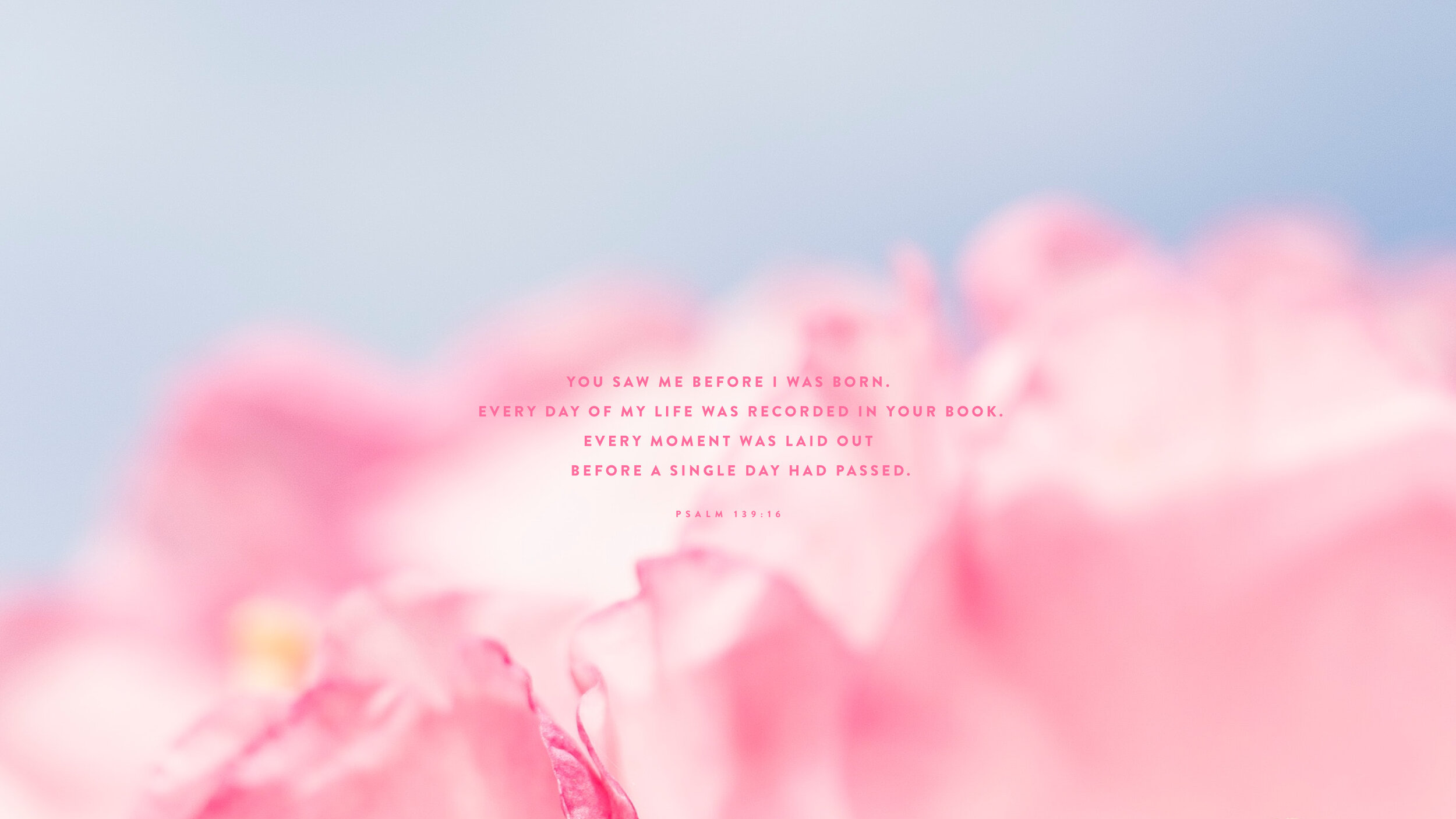 Pink Bible Wallpapers