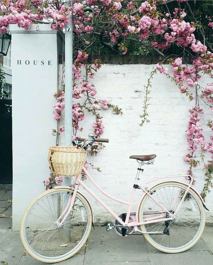 Pink Bike Wallpapers