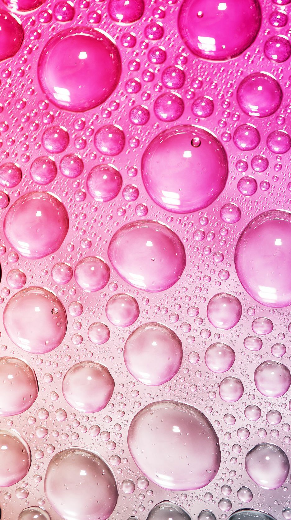 Pink Bubbles Wallpapers