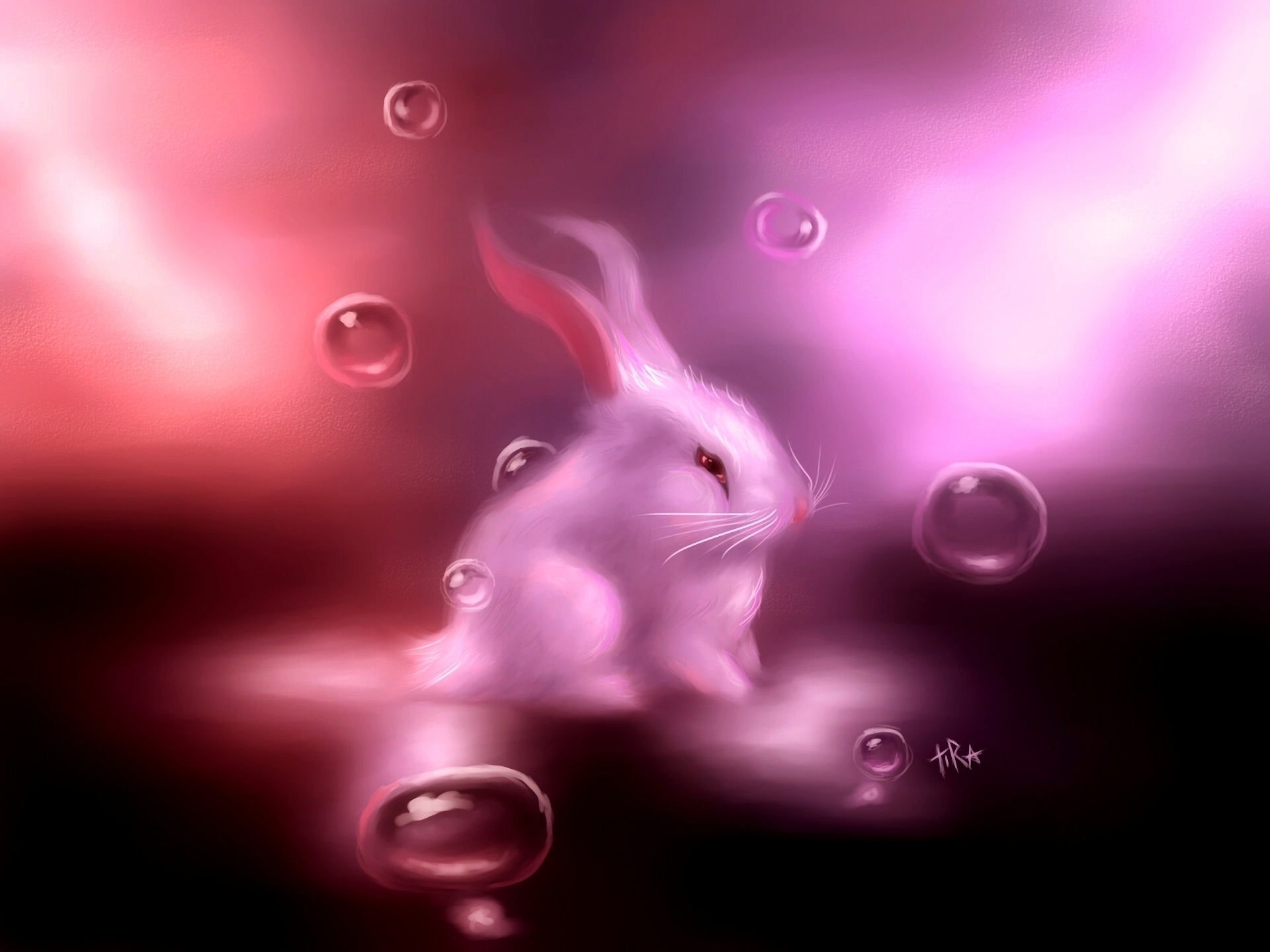 Pink Bunny Kawaii Rabbit Wallpapers