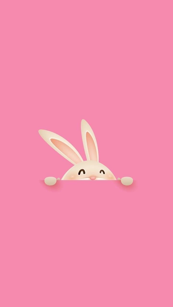 Pink Bunny Wallpapers