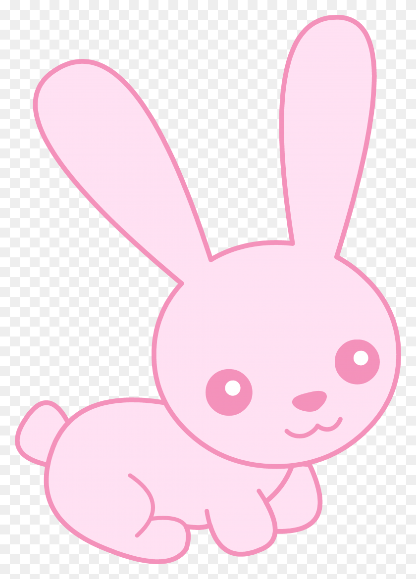 Pink Bunny Wallpapers