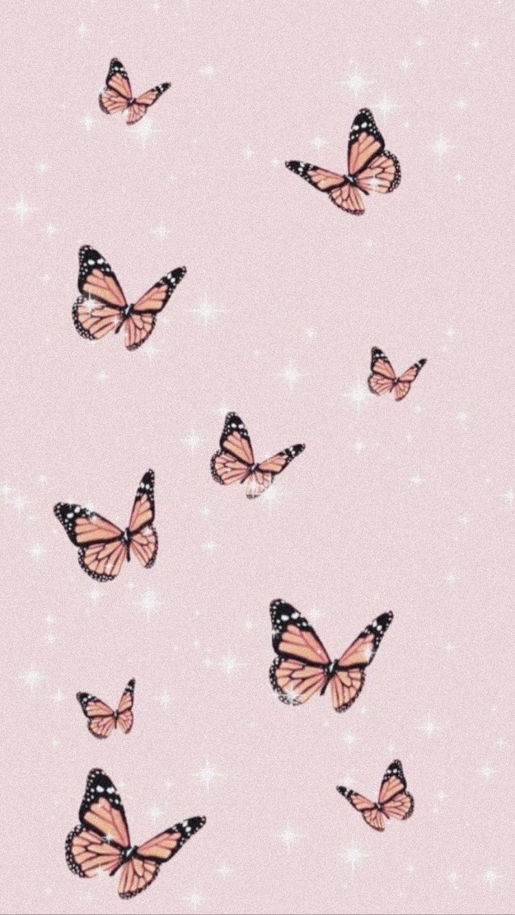 Pink Butterfly Aesthetic Wallpapers