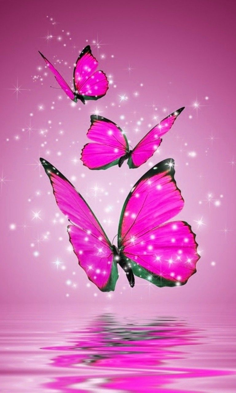 Pink Butterfly Wallpapers