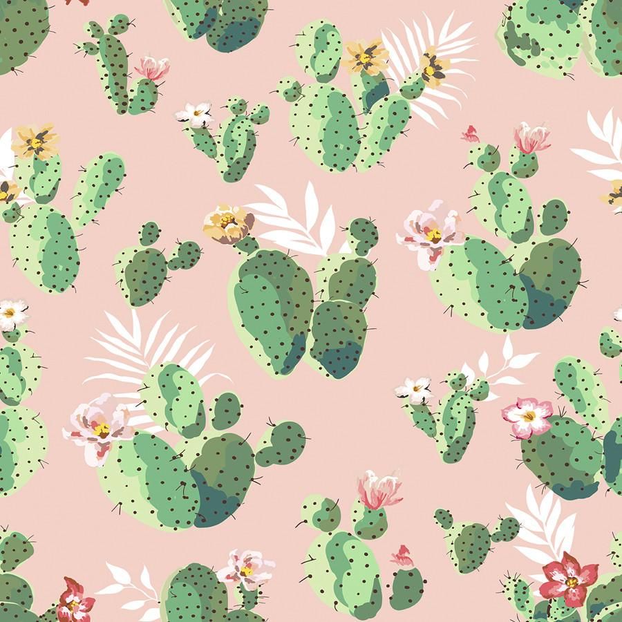 Pink Cactus Wallpapers