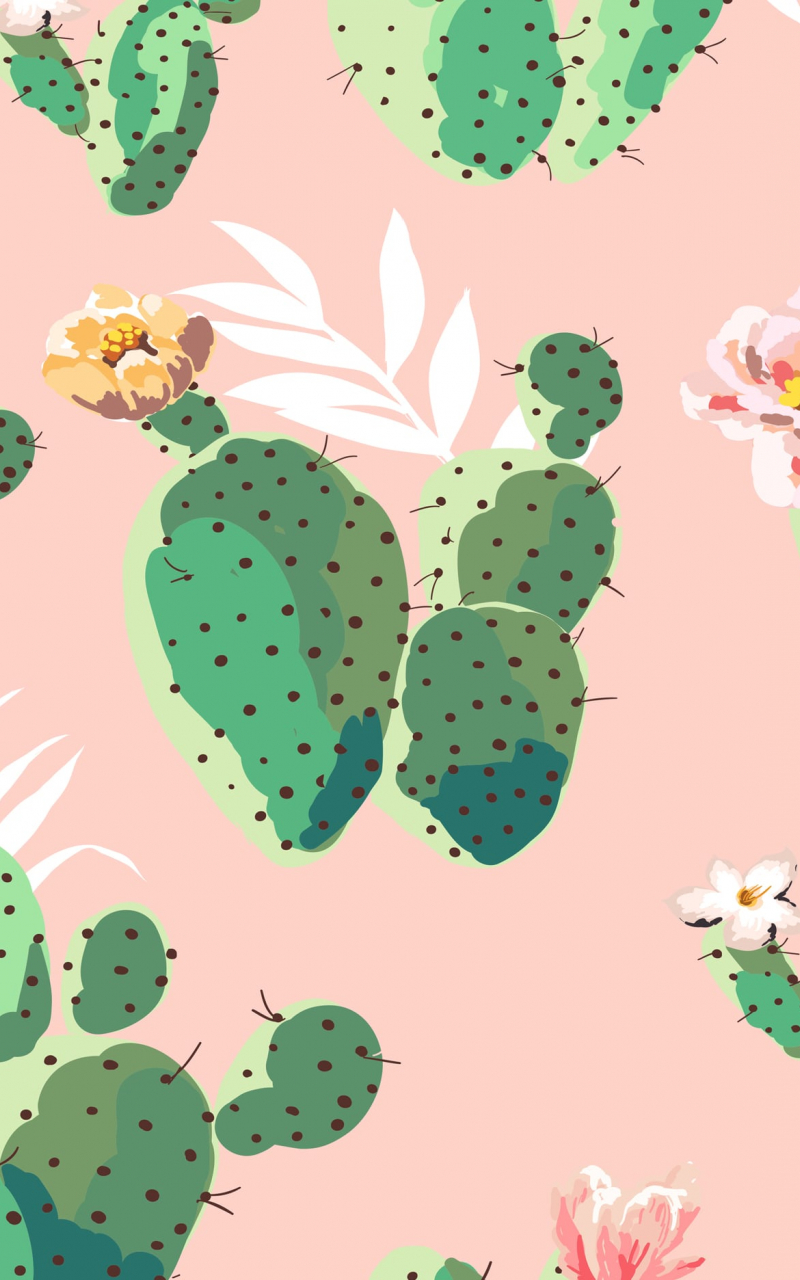 Pink Cactus Wallpapers