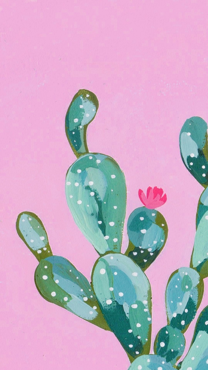 Pink Cactus Wallpapers