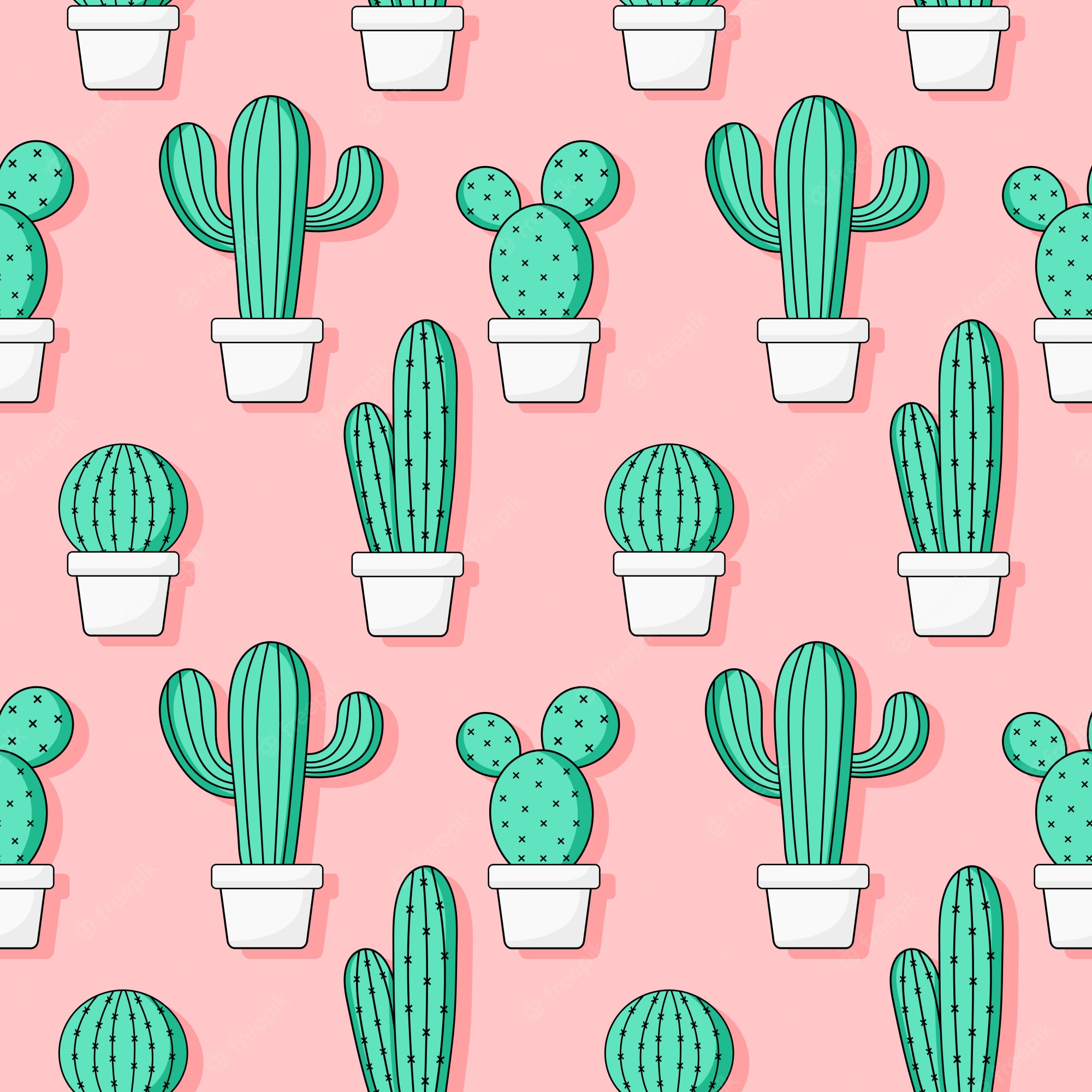 Pink Cactus Wallpapers