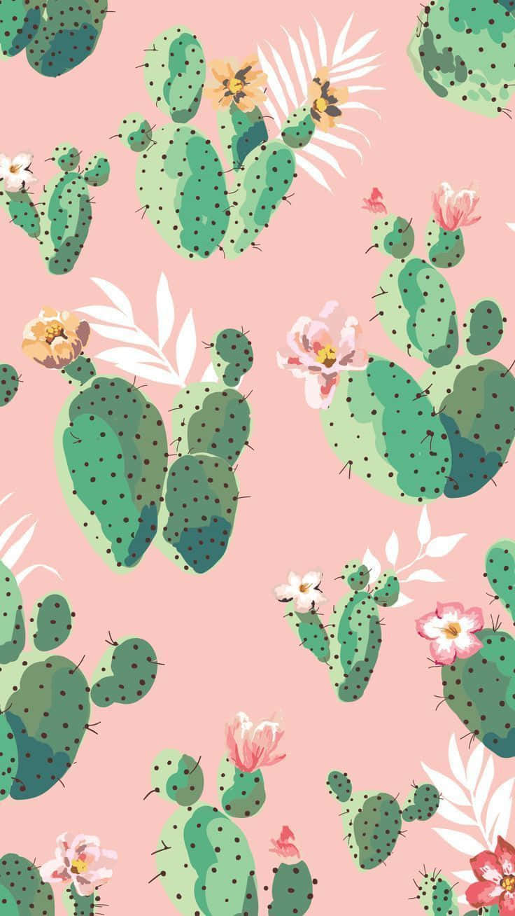 Pink Cactus Wallpapers