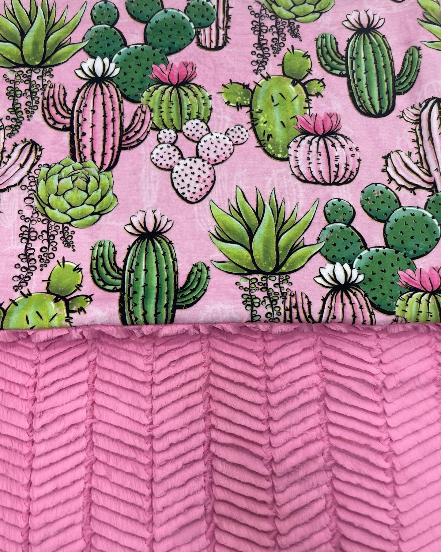 Pink Cactus Wallpapers