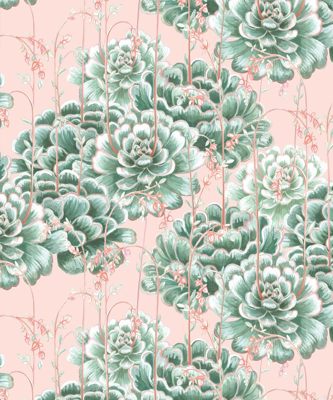 Pink Cactus Wallpapers