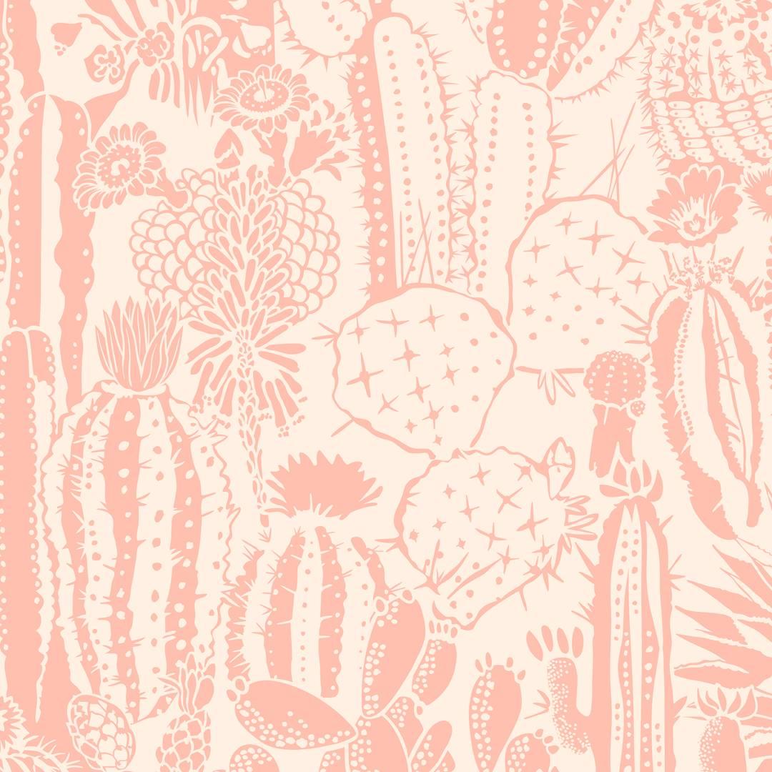 Pink Cactus Wallpapers