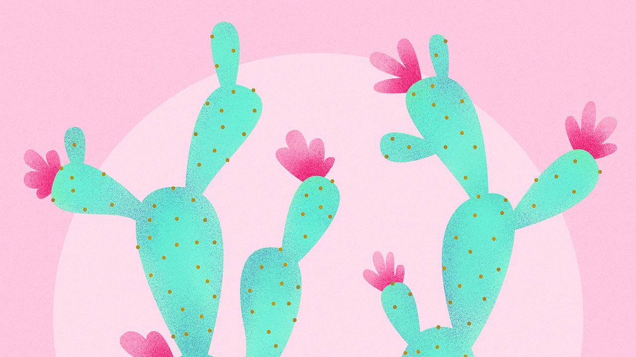 Pink Cactus Wallpapers